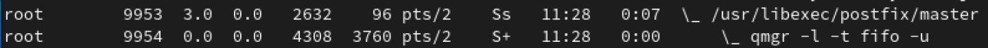 An observed running process created by the BPFDoor reverse shell