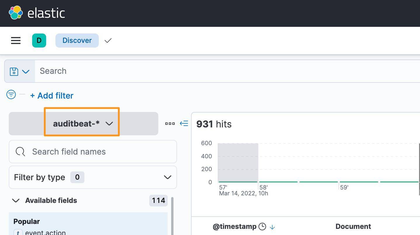 Auditbeat Data View in Kibana