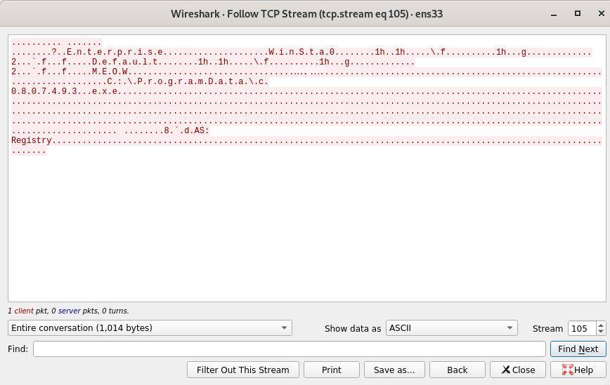 The Wireshark output of outbound requests containing victim host information