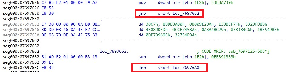 Disassembly of patched instructions