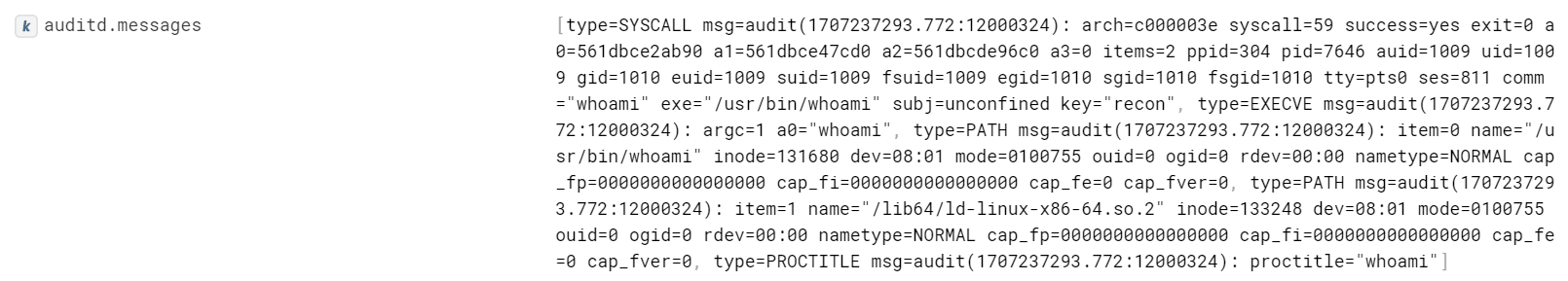 Content of the auditd.messages field