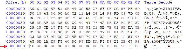 Prepended garbage bytes