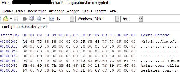 Hex view of the decrypted configuration file